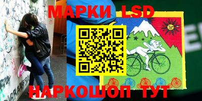 прущие грибы Лесосибирск