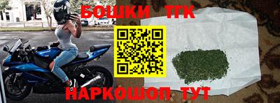 прущие грибы Лесосибирск