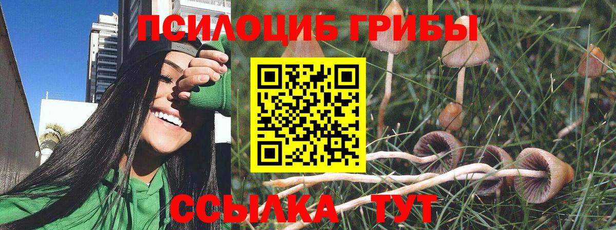Псилоцибиновые грибы Magic Shrooms  Вход с VPN  Урус-Мартан 